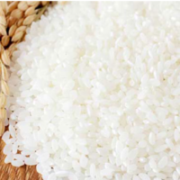 Japan Rice
